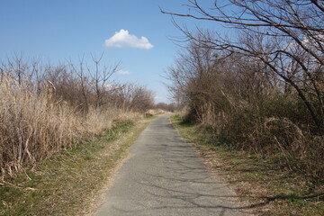 河川敷の歩道