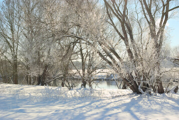 winterlandschaft in nordhessen am fluss fulda