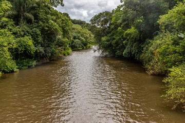 Paranhana river with forest around