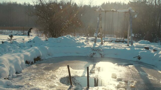 Dog playing with snow near ice hole in winter.