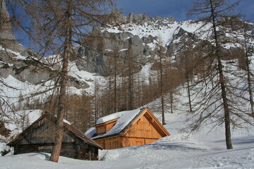 Wooden hut in Ramsau am Dachstein,Styria,Austria,Europe
