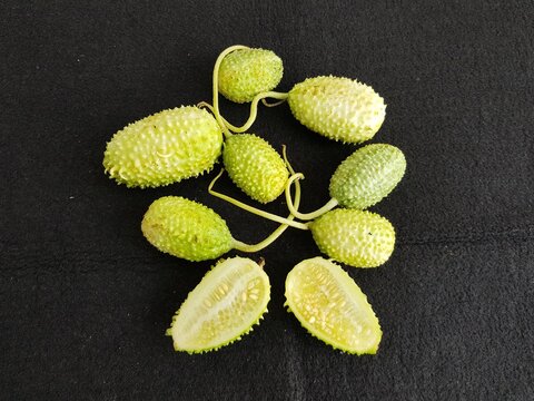 
Cucumis anguria, commonly known as maroon cucumber, West Indian gherkin, maxixe, burr gherkin, cackrey, and West Indian gourd. Cucurbitaceae family. Amazon, Brazl
