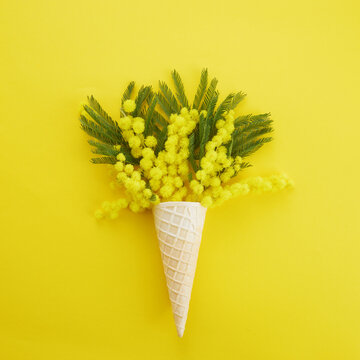 Yellow mimosa flower in waffle cone on yellow background. Flat lay, top view