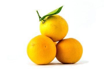 orange sur fond blanc