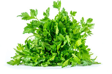 persil sur fond blanc
