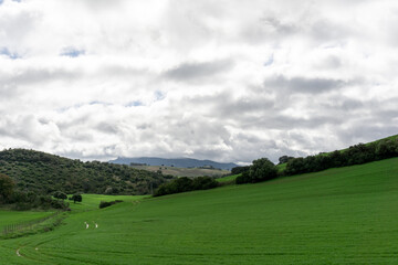 hills and farmland with fields and forests in the green and fertile Andalusian backcountry