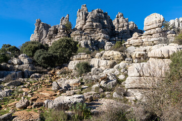 Fototapeta na wymiar many Iberian wild mountain goats in the El Torcal Nature Park in Andalusia