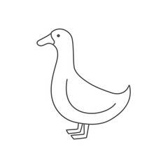 Duck poultry linear outline empty vector illustration.