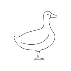 Duck poultry side view linear outline empty vector illustration.