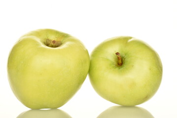 Two green apples by Renet Simirenko, close-up, isolated on white.