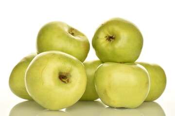 Several organic green apples by Renet Simirenko, close-up, isolated on white.