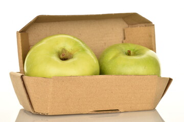 Two sweet green apples by Renet Simirenko in a paper box, close-up, isolated on white.