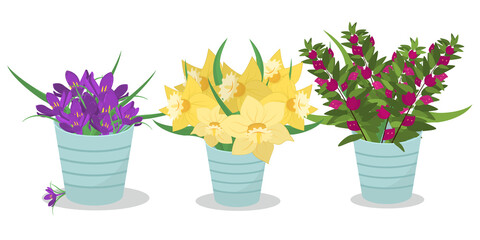 a set of bouquets of spring flowers in vases isolated on a white background