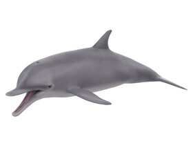 Dolphin Isolated
