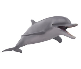 Dolphin Isolated