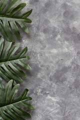 Palms on grey background with copy space