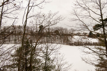 Cold winter day in Hamilton, Canada. Snow covered ground and trees on Bruce trail hiking path. Brown trees and white snow.