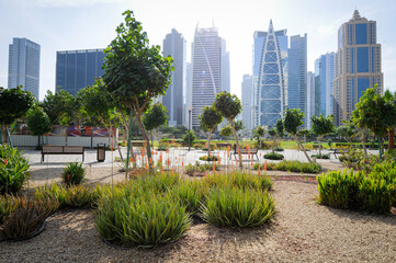 Vue sur un parc urbain au centre de Dubaï avec verdure au premier plan et des gratte-ciel en arrière plan. 
