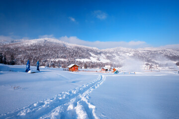 Słoneczny krajobraz zimowy i niebieskie niebo, góry Beskidy, Polska	
