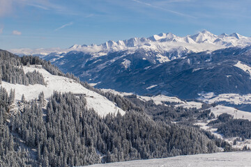 Fototapeta na wymiar The Austrian Alps in winter near Kitzbuhel. Behind the snow-covered fir trees, illuminated by the sun, the magnificent mountain peaks rise against the blue sky.