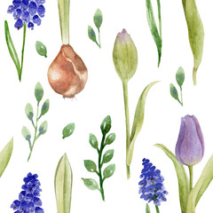 Watercolor set of illustrations with tulips and muscari