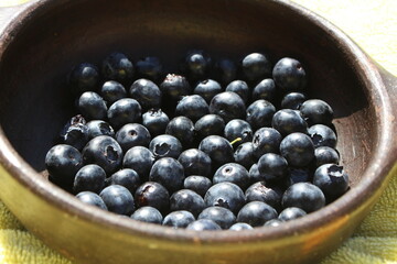 Healthy blueberries