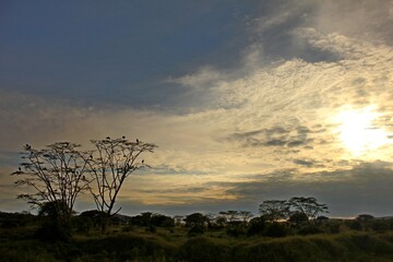 Fototapeta na wymiar Sunset afrika, serengeti park