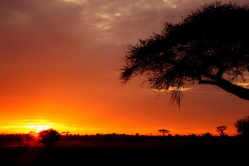 Sunset afrika, serengeti park
