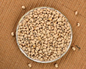 soya beans in a bowl
