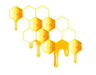 honeycomb dripping isolated on a white background