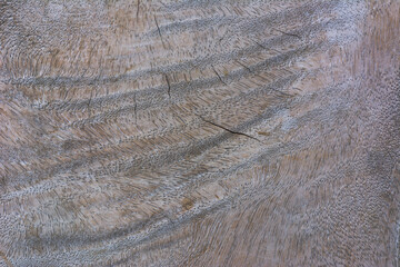 Abstract brown wooden plank texture