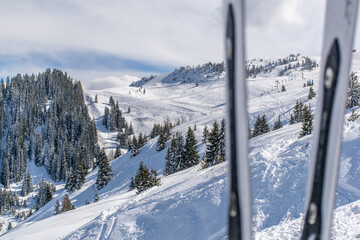 The skier has a magnificent view of the Kitzbuhel ski slopes, which are located in the coniferous forest of the Alps