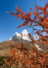 Deurstickers Ama Dablam herfst in de bergen, Ama Dablam-piek op de achtergrond, Himalaya in Nepal, trekking naar Everest Base Camp, expeditie naar de berg Amadablam