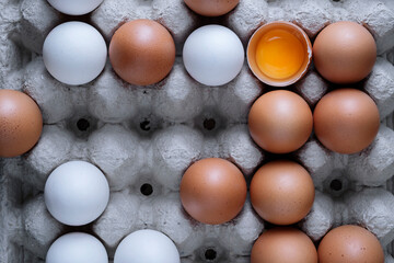 Chicken eggs in the cell egg tray. 