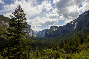 Fototapeta na wymiar Yosemite Valley cloudy.