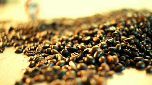 sunflower seeds on a table