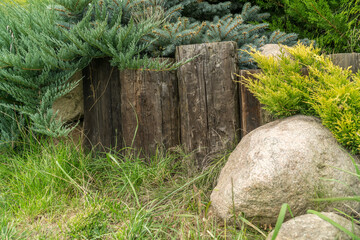 summer green garden or park