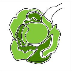 illustration of cabbage with leaf. One line style 