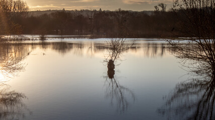 Fototapeta premium Inondations sur la Loire
