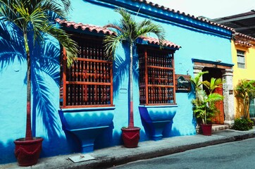 blue house 