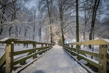 Fresh city snow in city park, winter, Poland, Cracow