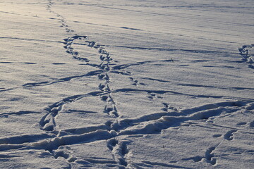Spuren im Schnee