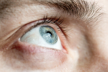 Light gray-blue eye looks up. Close-up
