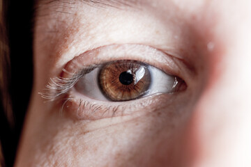 dark brown eye looks directly into the lens. Close-up