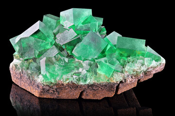 Amazing colorful macro closeup of green rare fluorite mineral specimen isolated on black...