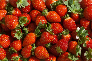 Red strawberries with green leaves background
