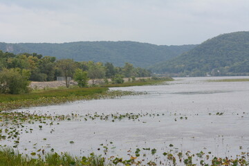 Mississippi River, from Wisconsin side of the river, backwaters and wetland with bluffs in the background