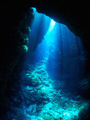 Underwater world. Rays of light in an underwater cave. Red sea.