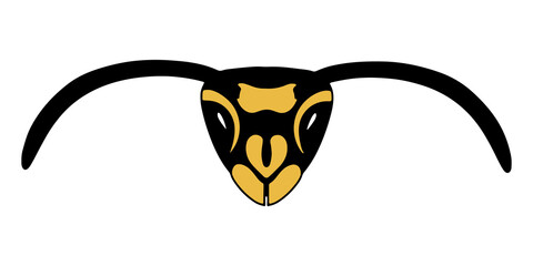 Wasp head. The isolated object on a white background. Vector illustration. The insect is yellow with black. Hand drawn.