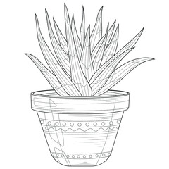 Flower in a pot. Succulent.Coloring book antistress for children and adults. Zen-tangle style.Black and white drawing.Hand draw